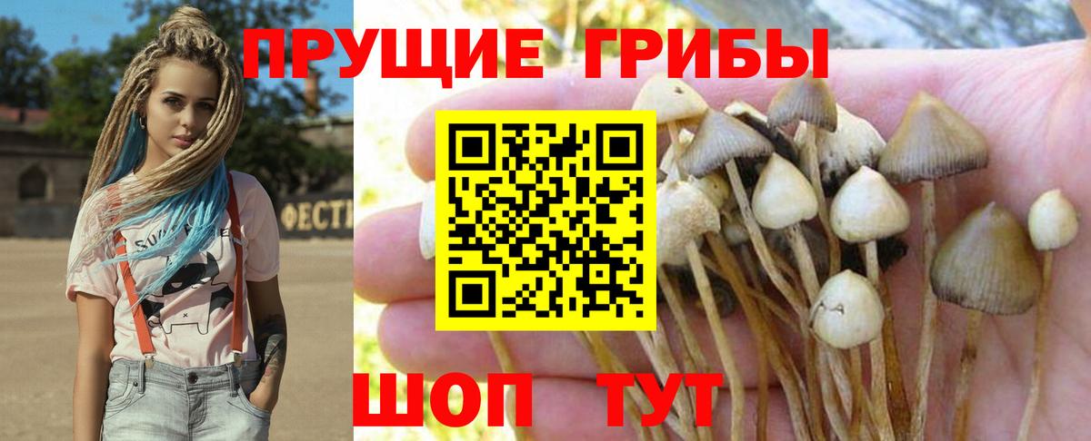 Галлюциногенные грибы мухоморы  Вход с VPN  Елабуга 